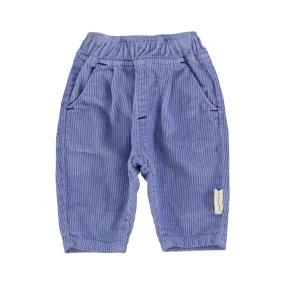 Trousers in Purple
