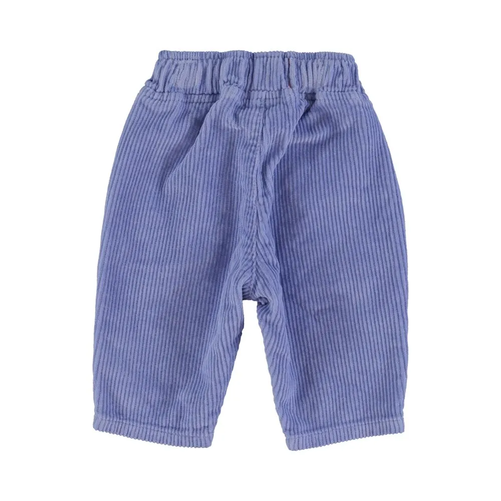 Trousers in Purple